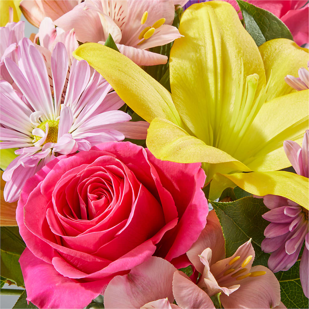 Sprinkles Bouquet – VACHA'S FOREST FLOWERS, Oak Forest IL