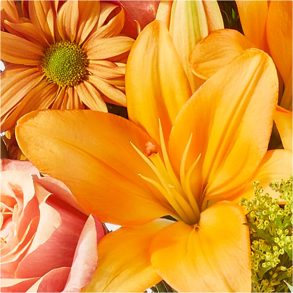 Harvest Hayride Bouquet – VACHA'S FOREST FLOWERS, Oak Forest IL