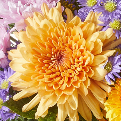 Countryside Bouquet – VACHA'S FOREST FLOWERS, Oak Forest IL