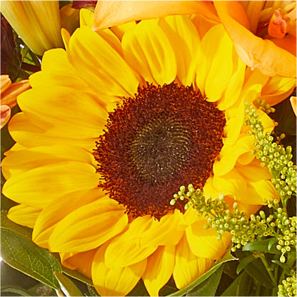 Seasons Change Bouquet – VACHA'S FOREST FLOWERS, Oak Forest IL
