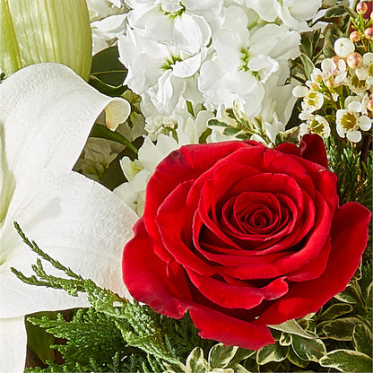 Twinkle Lights Bouquet – VACHA'S FOREST FLOWERS, Oak Forest IL