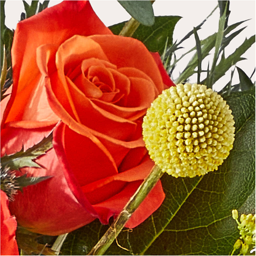 Disco Bouquet – VACHA'S FOREST FLOWERS, Oak Forest IL