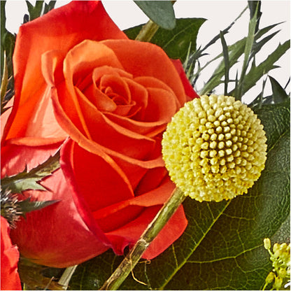 Disco Bouquet – VACHA'S FOREST FLOWERS, Oak Forest IL