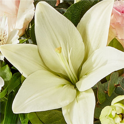 Ballet Slippers Bouquet – VACHA'S FOREST FLOWERS, Oak Forest IL