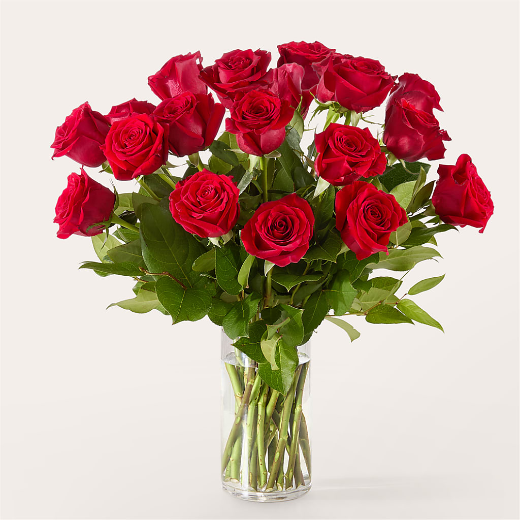 The One Red Rose Bouquet – VACHA'S FOREST FLOWERS, Oak Forest IL