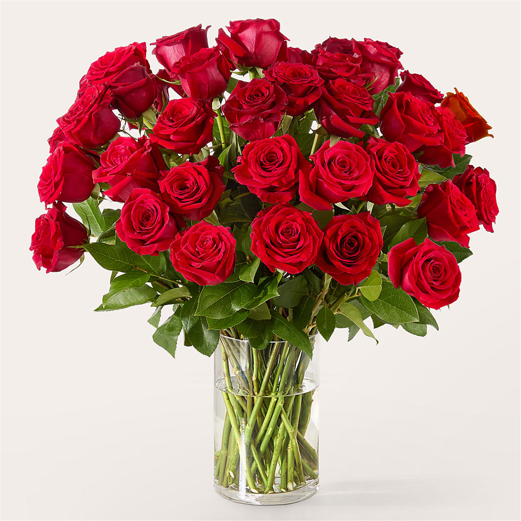 The One Red Rose Bouquet – VACHA'S FOREST FLOWERS, Oak Forest IL