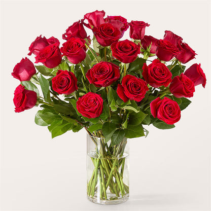 The One Red Rose Bouquet – VACHA'S FOREST FLOWERS, Oak Forest IL
