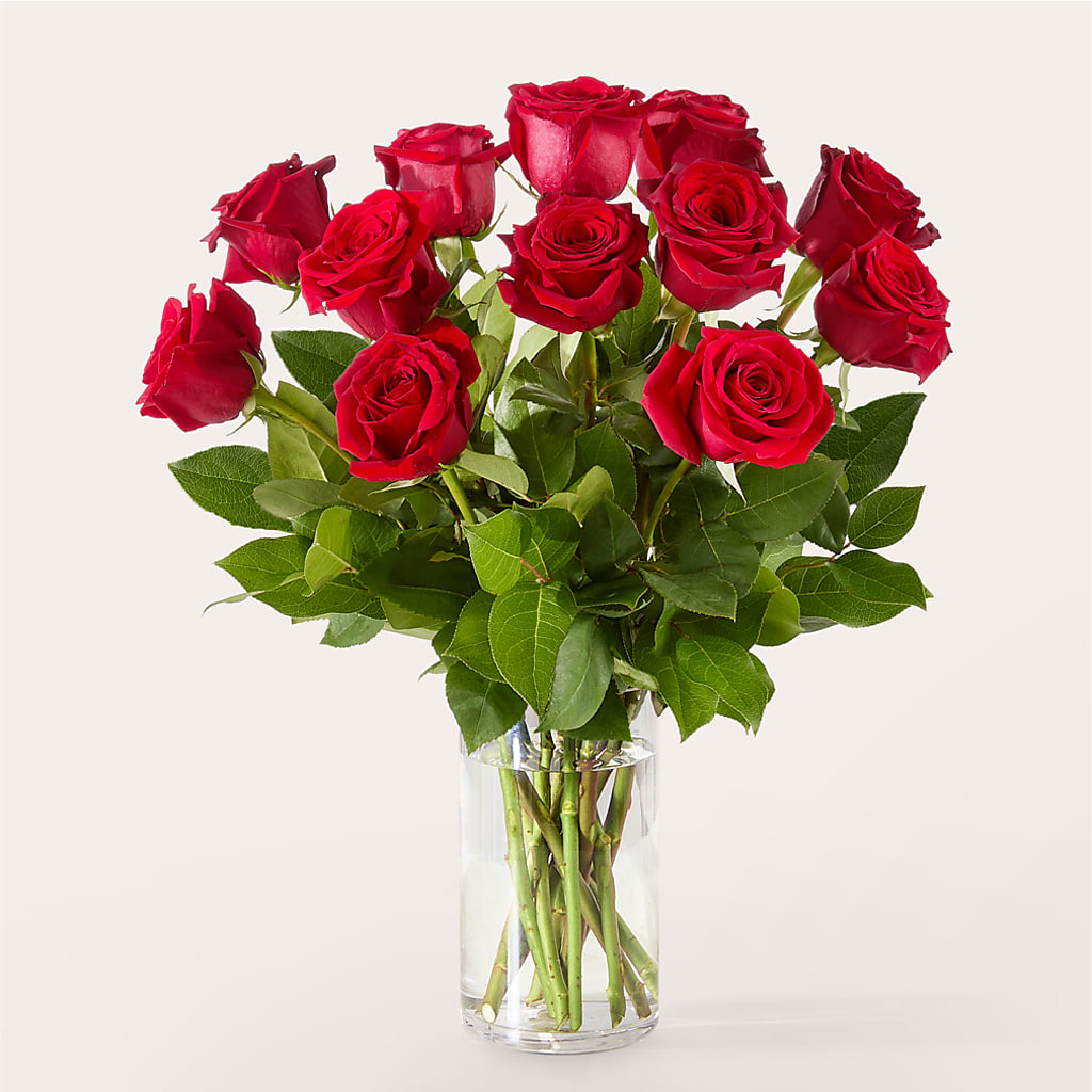 The One Red Rose Bouquet – VACHA'S FOREST FLOWERS, Oak Forest IL