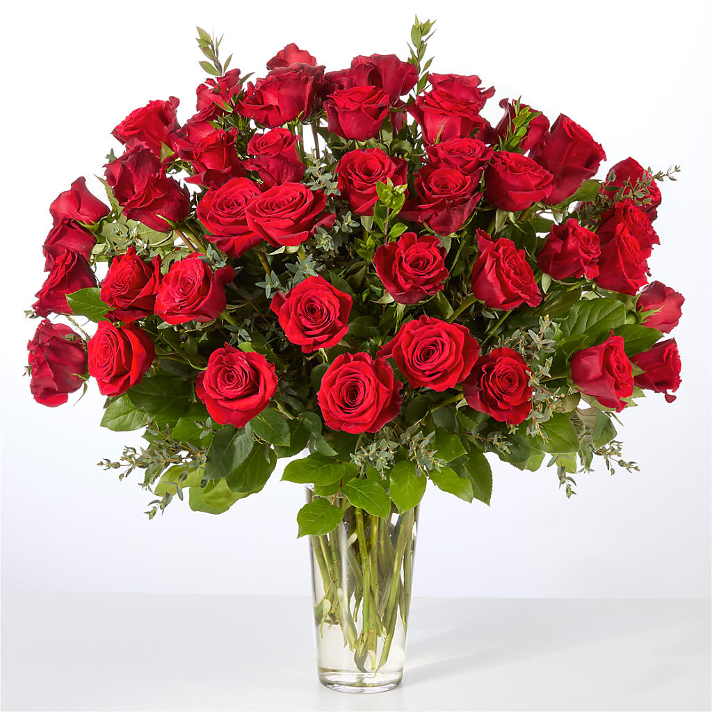Forever Yours Fifty Stem Red Rose Bouquet – VACHA'S FOREST FLOWERS, Oak Forest IL