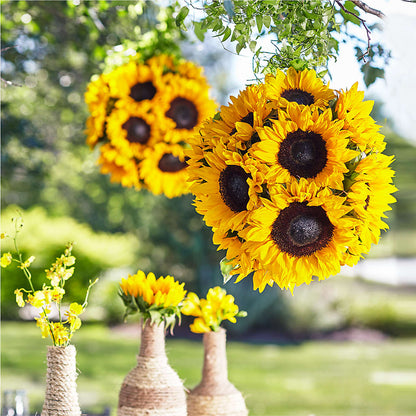 Sublime Garden Hanging Arrangement – VACHA'S FOREST FLOWERS, Oak Forest IL