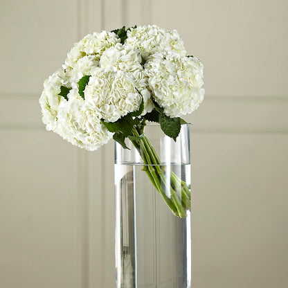 White Hydrangea Hand-Tied Bouquet – VACHA'S FOREST FLOWERS, Oak Forest IL
