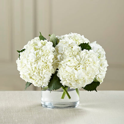 White Hydrangea Bouquet – VACHA'S FOREST FLOWERS, Oak Forest IL